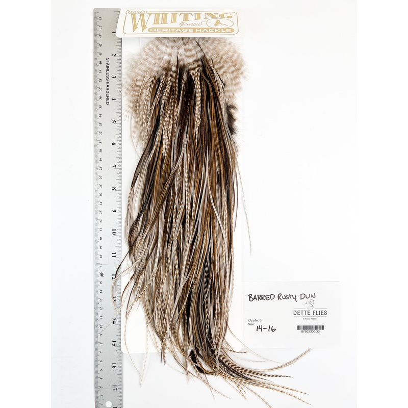 Barred Rusty Dun – Whiting Heritage Hackle Rooster Saddle – Grade 3