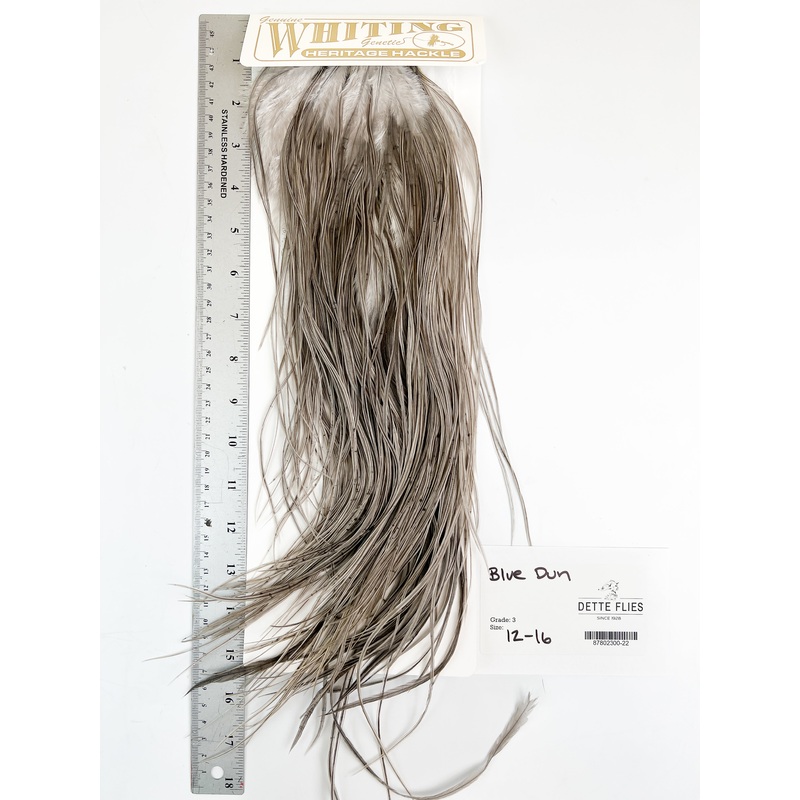 Blue Dun – Whiting Heritage Hackle Rooster Saddle – Grade 3