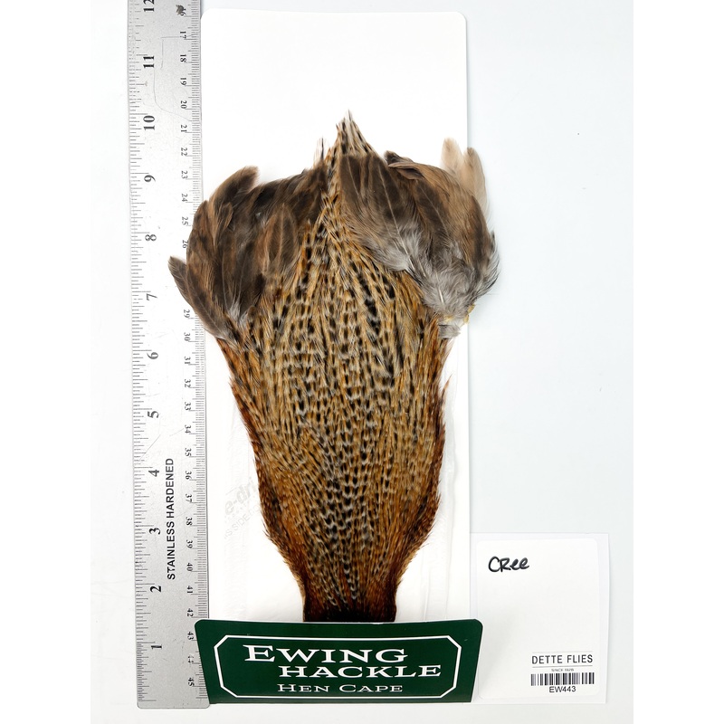 Cree – Ewing Hen Cape (443)