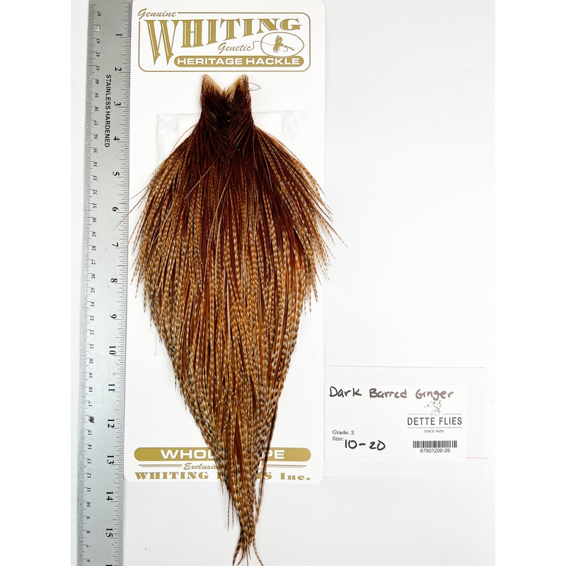 Dark Barred Ginger – Whiting Heritage Hackle Rooster Cape  – Grade 2
