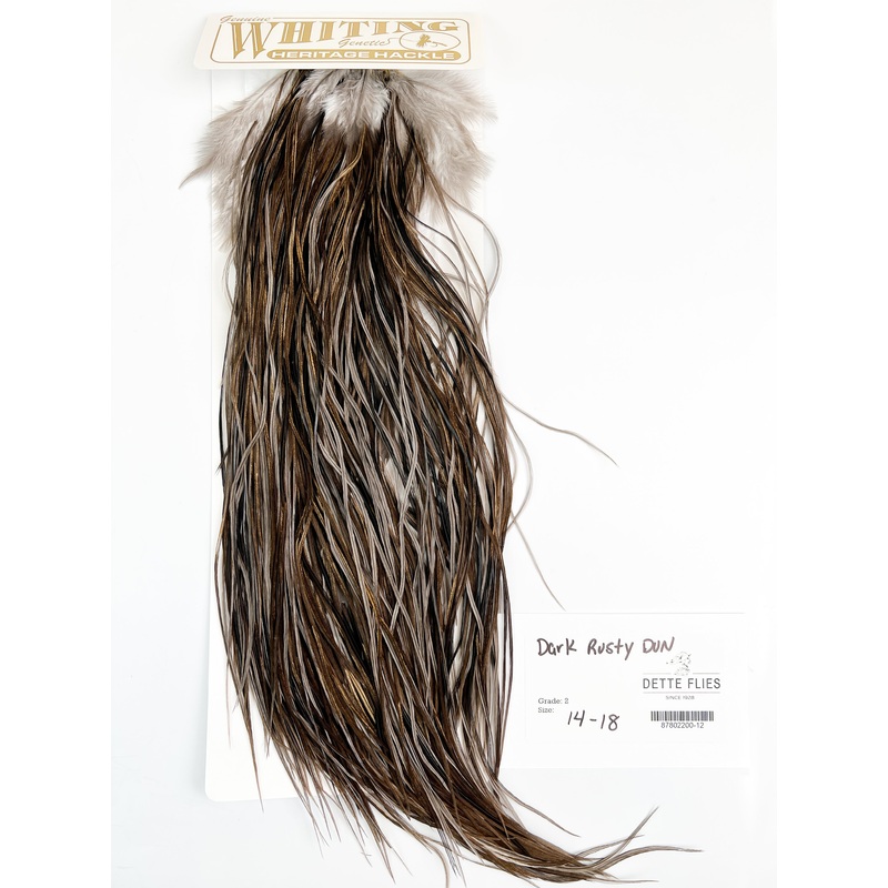 Dark Rusty Dun – Whiting Heritage Hackle Rooster Saddle – Grade 2