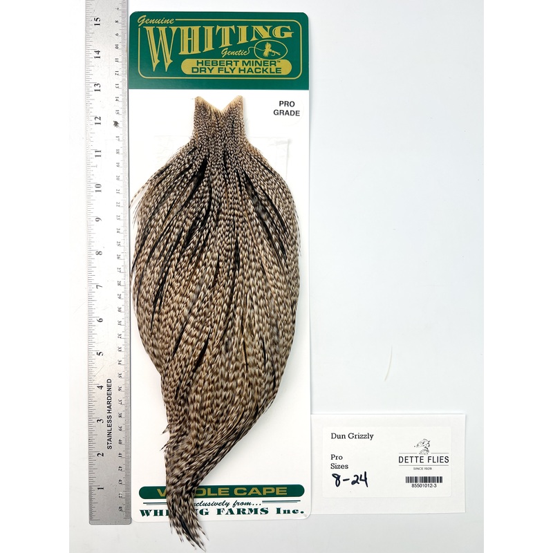 Dun Grizzly – Whiting Hebert Rooster Cape | Pro Grade