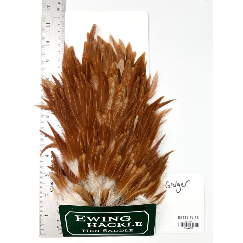 Ginger – Ewing Hen Saddle (460)