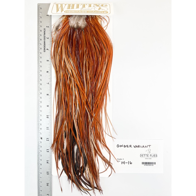 Ginger Variant – Whiting Heritage Hackle Rooster Saddle – Grade 3