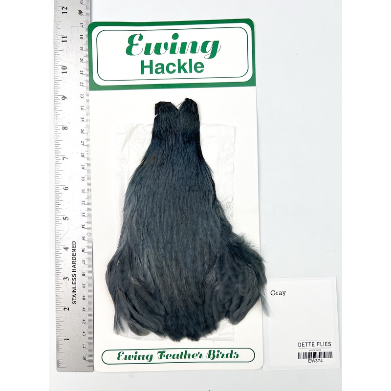 Gray – Ewing Hen Cape (374)