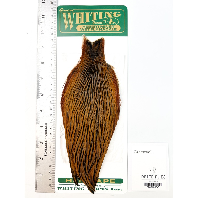 Greenwell – Whiting Hebert Hen Cape