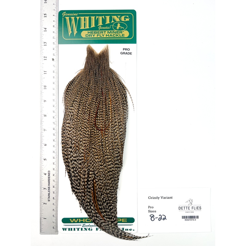 Grizzly Variant – Whiting Hebert Rooster Cape | Pro Grade