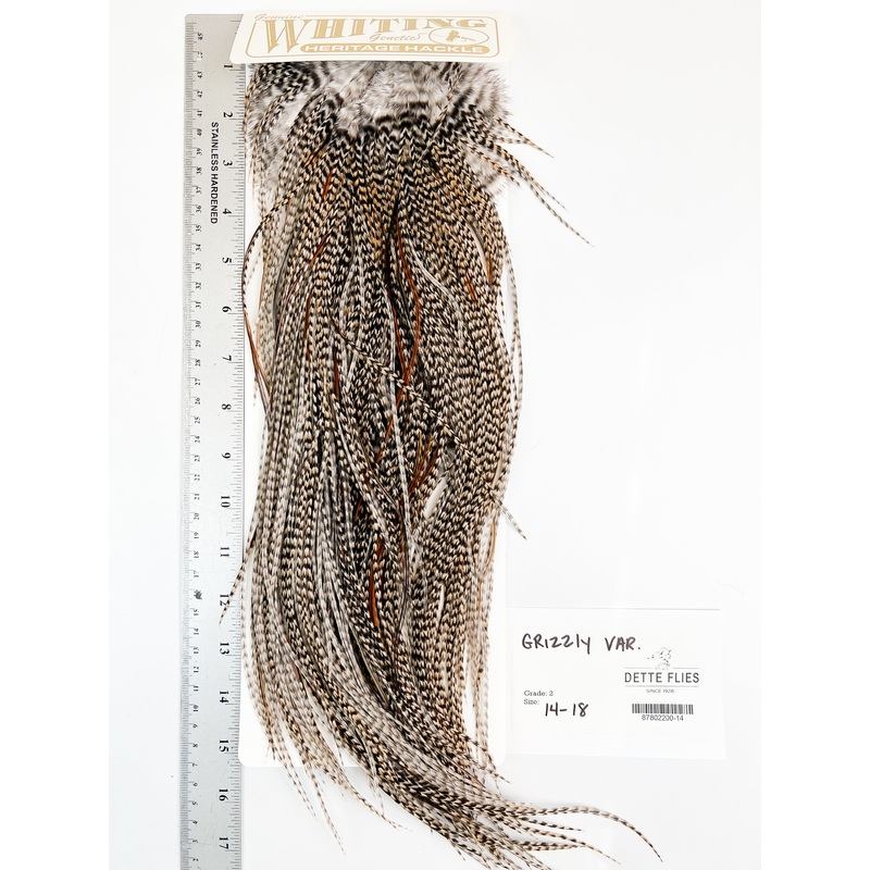 Grizzly Variant – Whiting Heritage Hackle Rooster Saddle – Grade 2