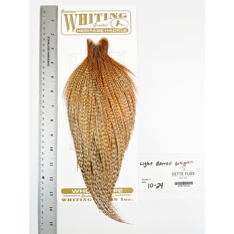 Light Barred Ginger – Whiting Heritage Hackle Rooster Cape  – Grade 2