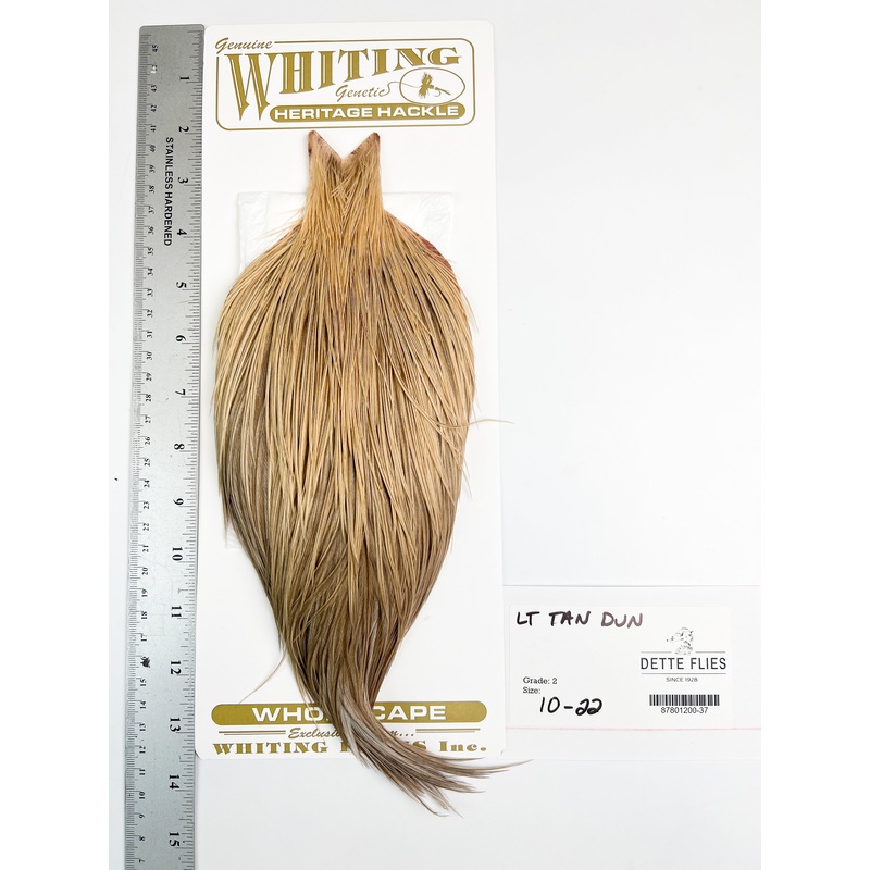 Light Tan Dun – Whiting Heritage Hackle Rooster Cape  – Grade 2