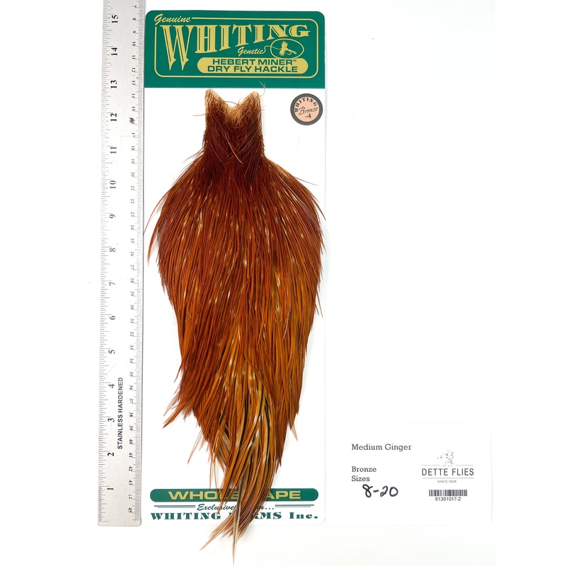 Medium Ginger – Whiting Hebert Rooster Cape | Bronze Grade