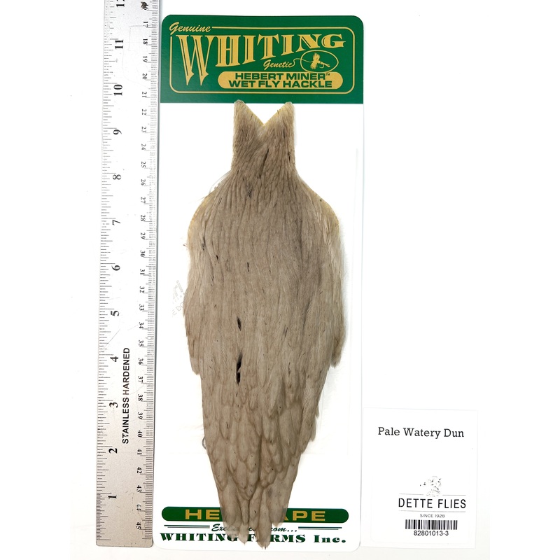 Pale Watery Dun – Whiting Hebert Hen Cape