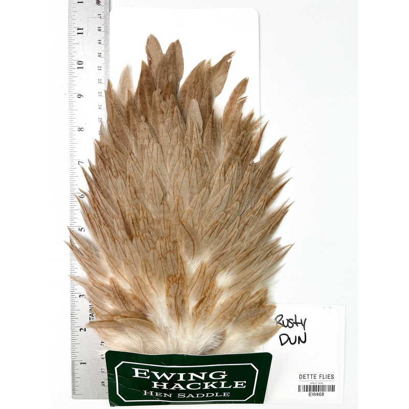 Rusty Dun – Ewing Hen Saddle (468)