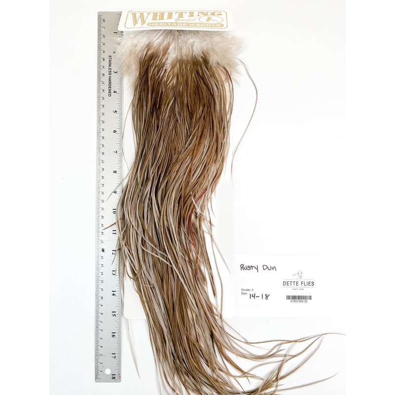 Rusty Dun – Whiting Heritage Hackle Rooster Saddle – Grade 3