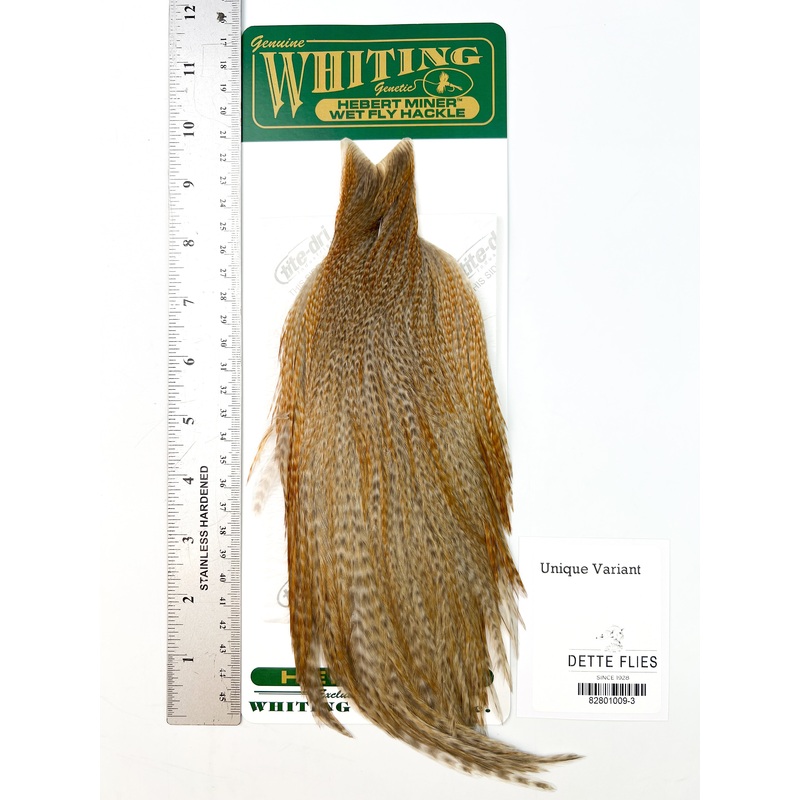 Unique Variant – Whiting Hebert Hen Cape