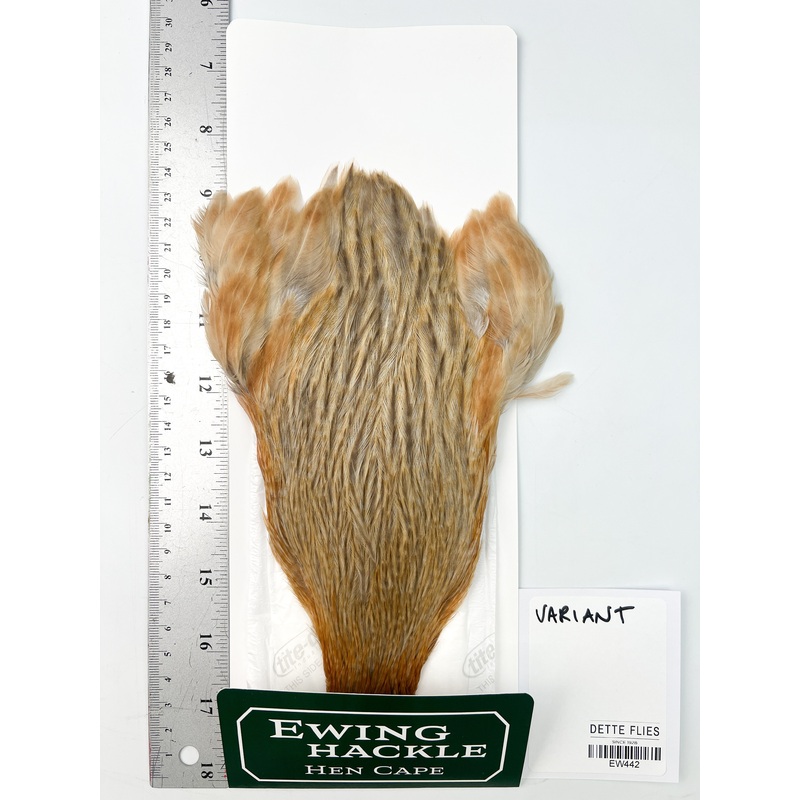 Variant – Ewing Hen Cape (442)