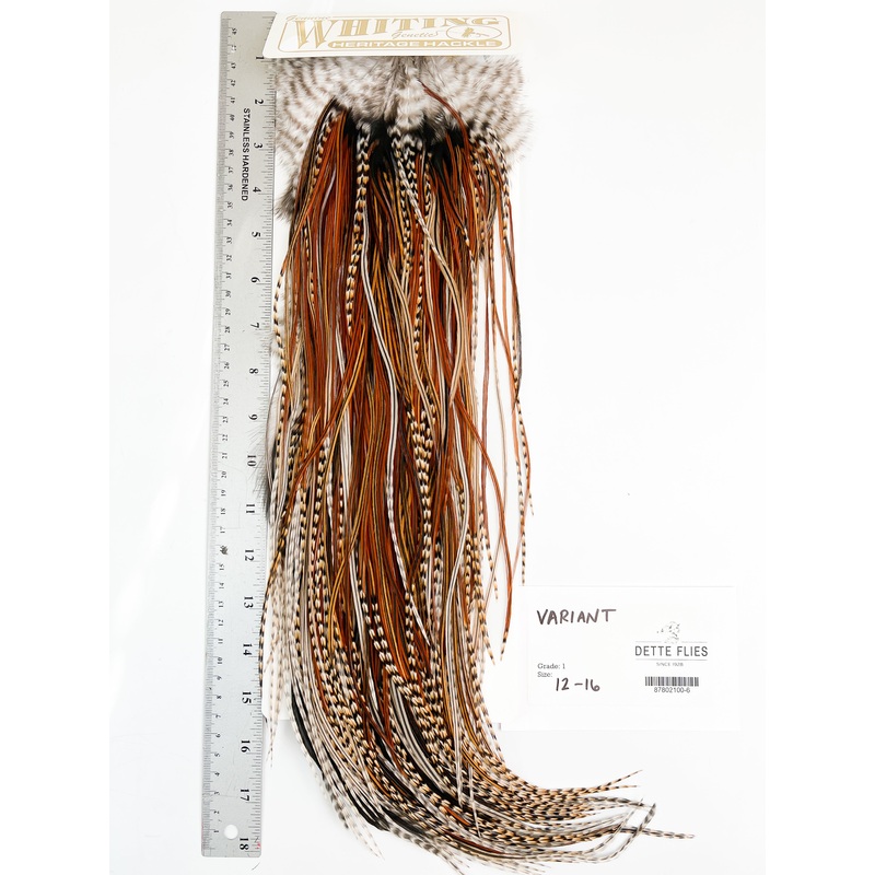 Variant – Whiting Heritage Hackle Rooster Saddle – Grade 1