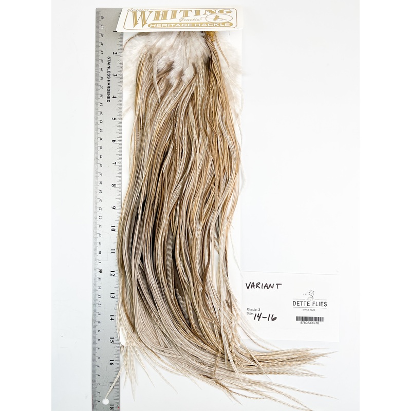 Variant – Whiting Heritage Hackle Rooster Saddle – Grade 3