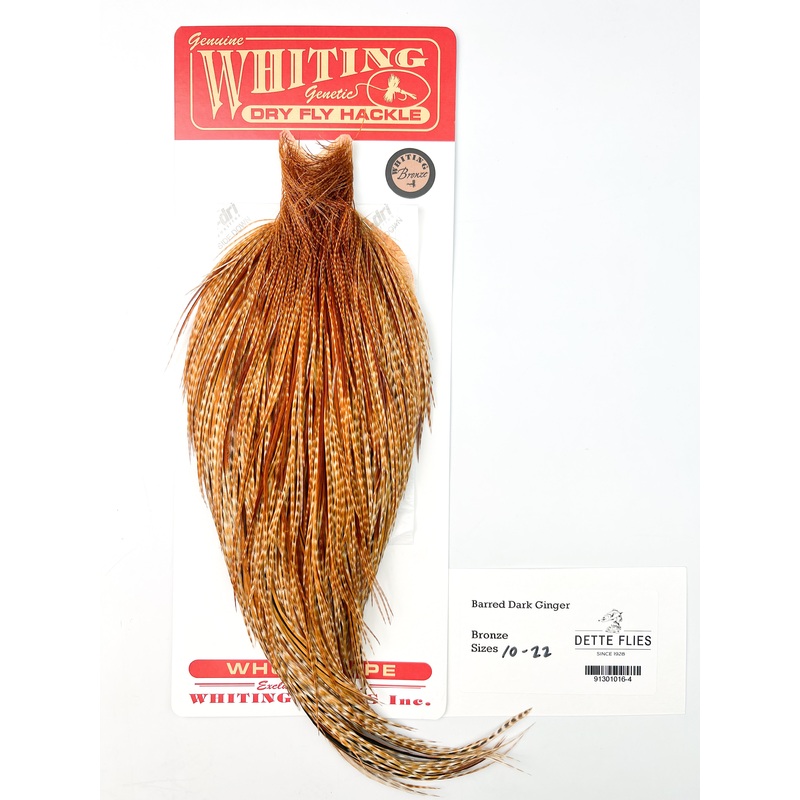 Barred Dark Ginger – Whiting Line Rooster Cape – Bronze Grade