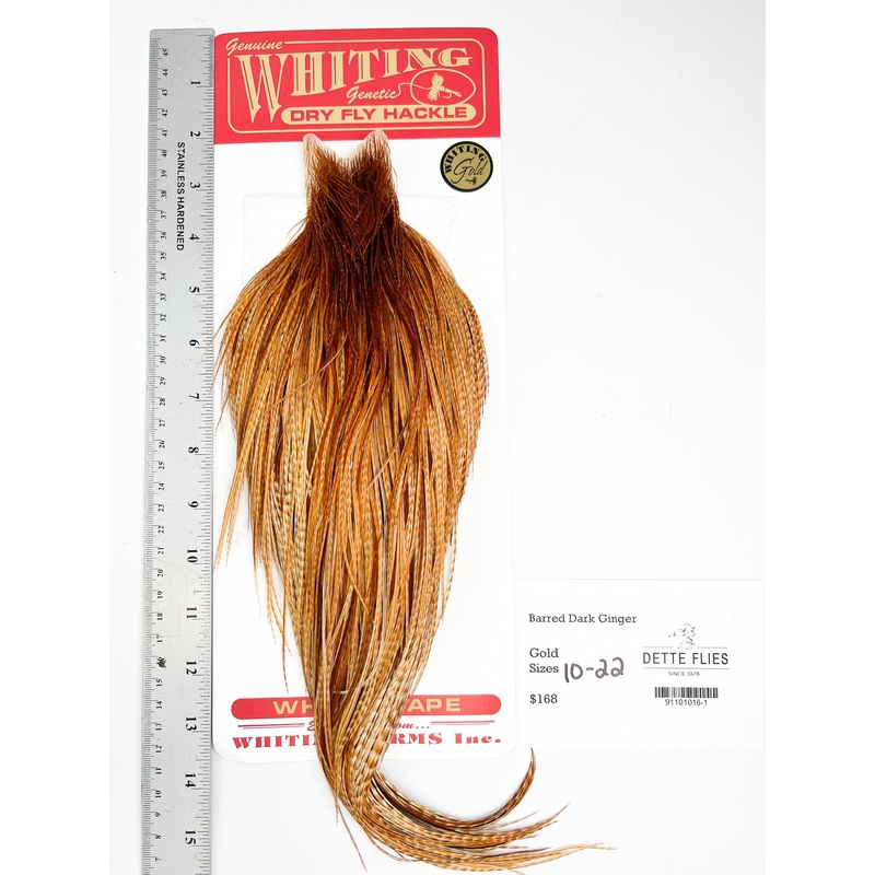 Barred Dark Ginger – Whiting Line Rooster Cape – Gold Grade