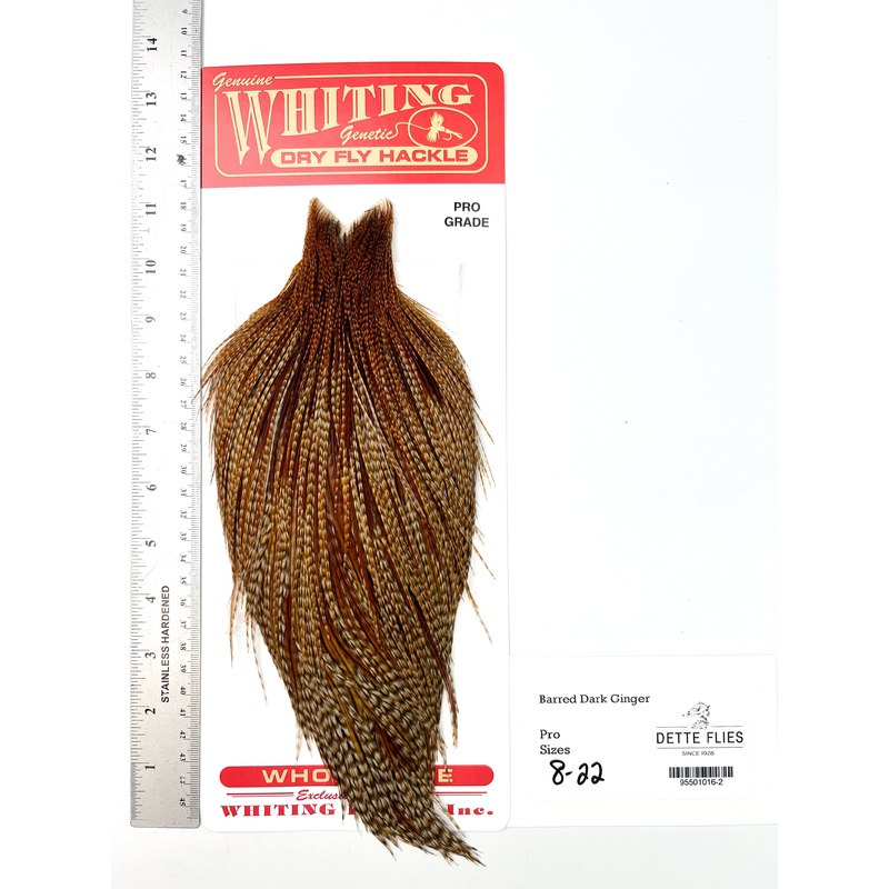 Barred Dark Ginger – Whiting Line Rooster Cape – Pro Grade