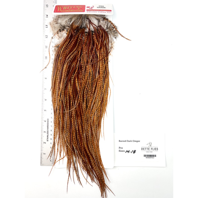 Barred Dark Ginger – Whiting Line Rooster Saddle – Pro Grade