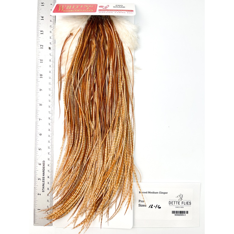 Barred Medium Ginger – Whiting Line Rooster Saddle – Pro Grade
