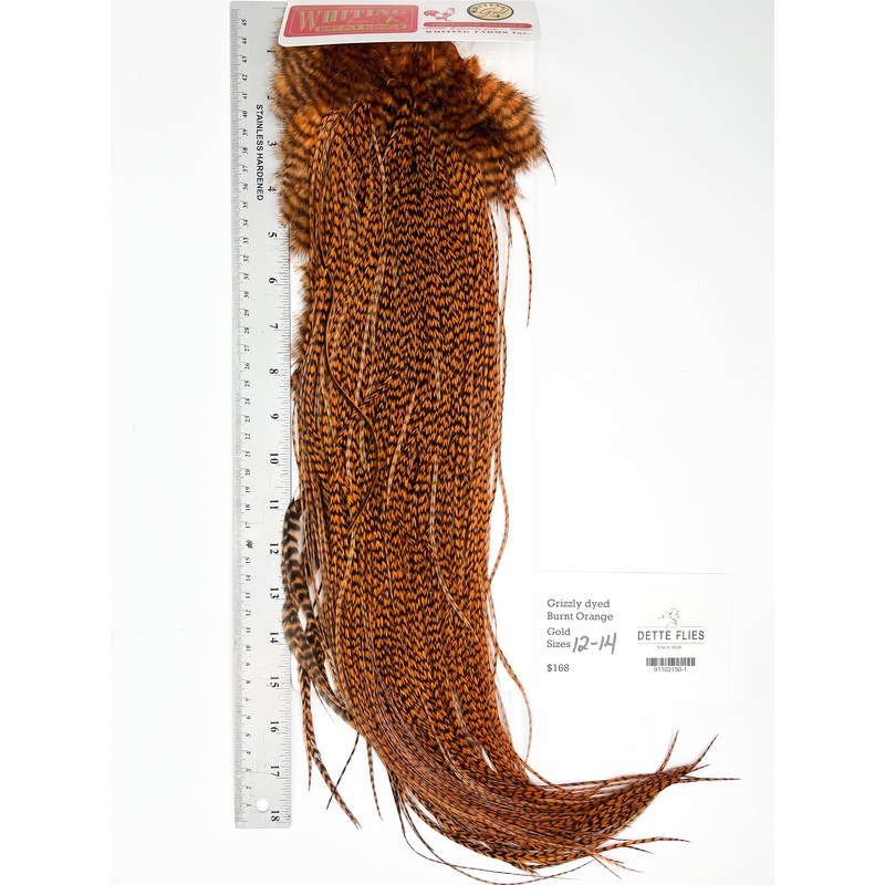Grizzly dyed Burnt Orange – Whiting Line Rooster Saddle – Gold Grade