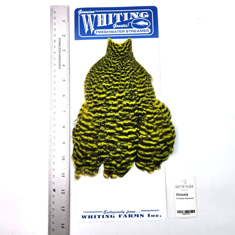 Grizzly dyed Fl Yellow Chartreuse – Whiting Freshwater Streamer Hen Cape (#1)