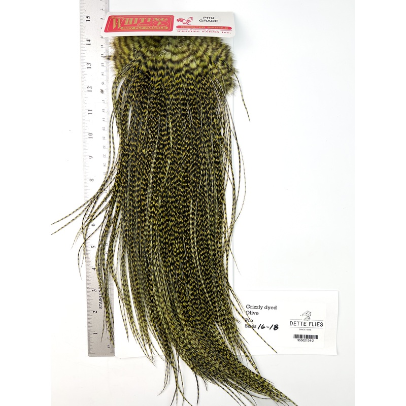 Grizzly dyed Olive – Whiting Line Rooster Saddle – Pro Grade