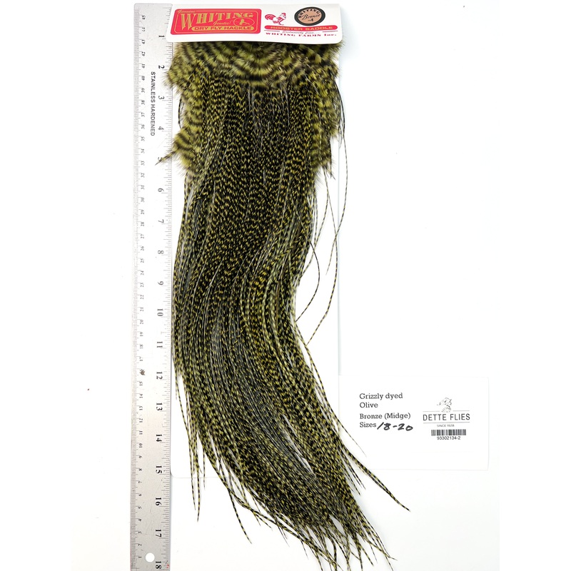 Grizzly dyed Olive – Whiting Midge Line Rooster Saddle – Bronze Grade
