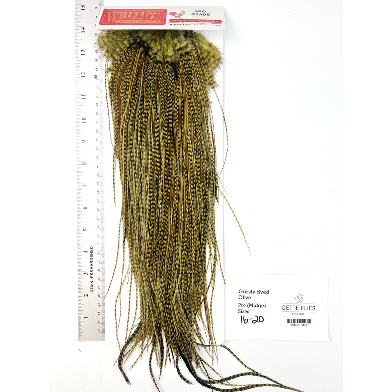 Grizzly dyed Olive – Whiting Midge Rooster Saddle – Pro Grade