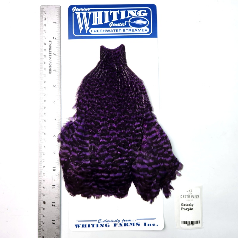 Grizzly dyed Purple – Whiting Freshwater Streamer Hen Cape (#1)