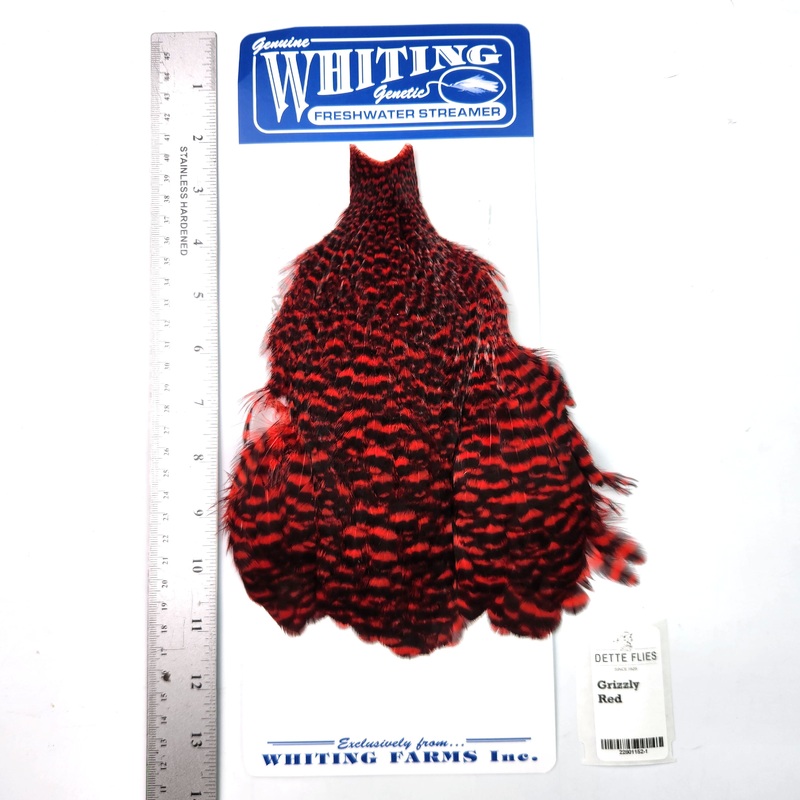 Grizzly dyed Red- Whiting Freshwater Streamer Hen Cape (#1)