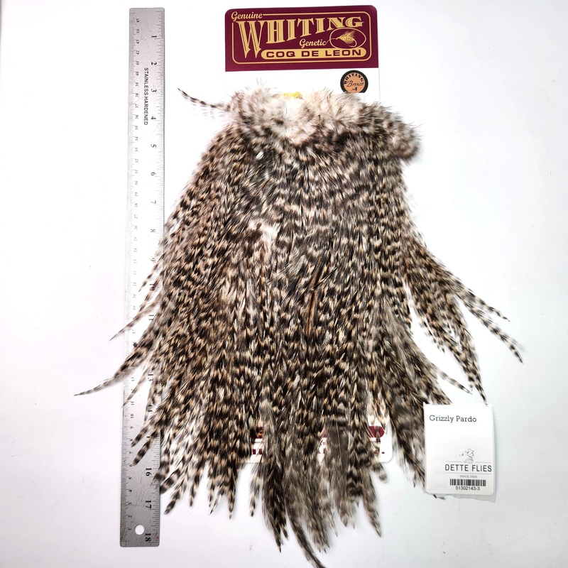 Grizzly Pardo – Whiting Coq de Leon Rooster Saddle | Bronze Grade (#3)