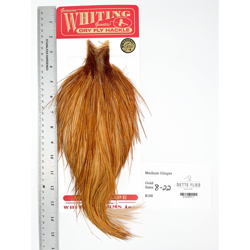 Medium Ginger – Whiting Line Rooster Cape – Gold Grade