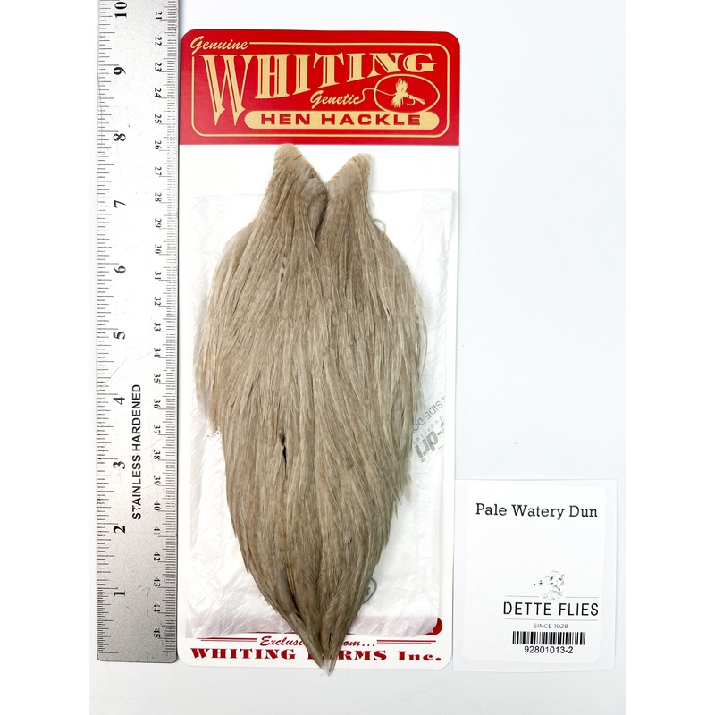 Pale Watery Dun – Whiting Line Hen Cape