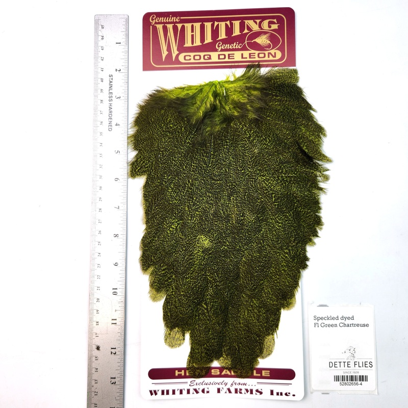 Speckled dyed Fl Green Chartreuse – Whiting Coq de Leon Hen Saddle (#4)