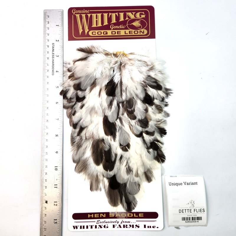 Unique Variant – Whiting Coq de Leon Hen Saddle (#4)