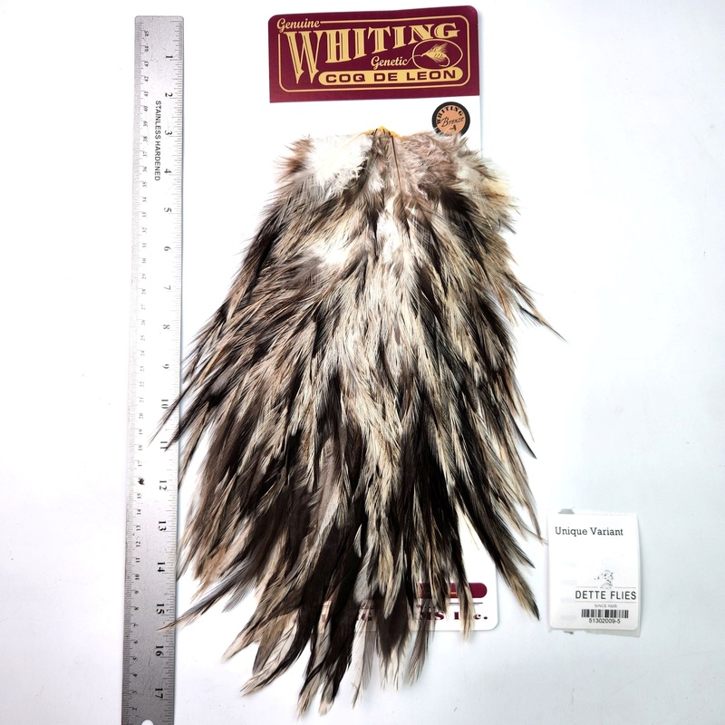 Unique Variant – Whiting Coq de Leon Rooster Saddle | Bronze Grade (#5)