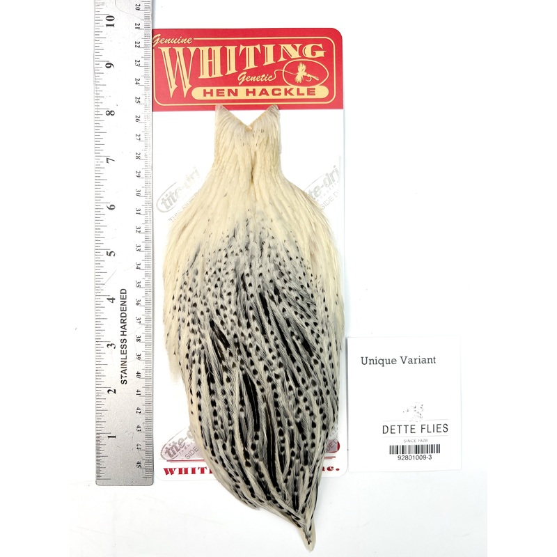 Unique Variant – Whiting Line Hen Cape
