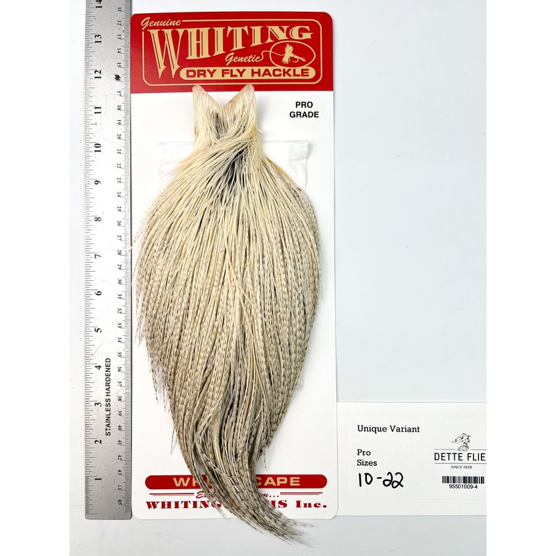 Unique Variant – Whiting Line Rooster Cape – Pro Grade