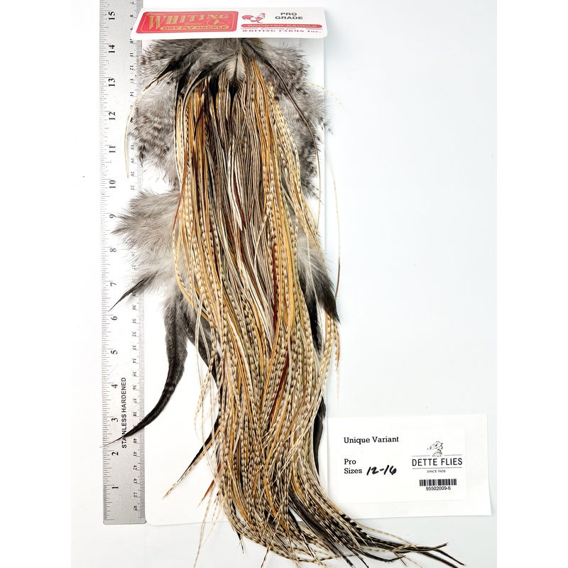 Unique Variant – Whiting Line Rooster Saddle – Pro Grade