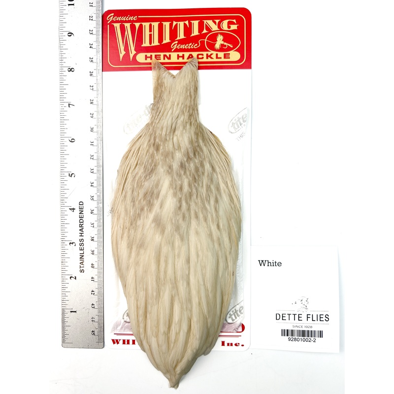 White – Whiting Line Hen Cape
