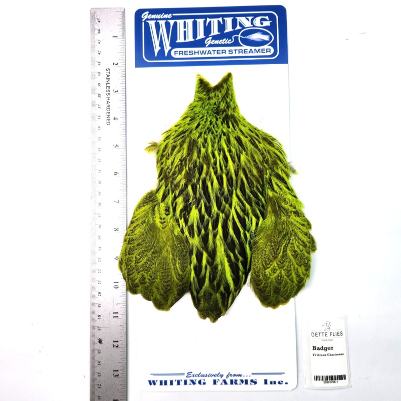 Badger dyed Fl Green Chartreuse – Whiting Freshwater Streamer Hen Cape (#1)