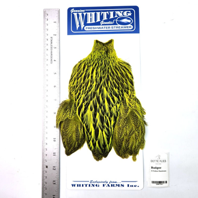 Badger dyed Fl Yellow Chartreuse – Whiting Freshwater Streamer Hen Cape (#1)