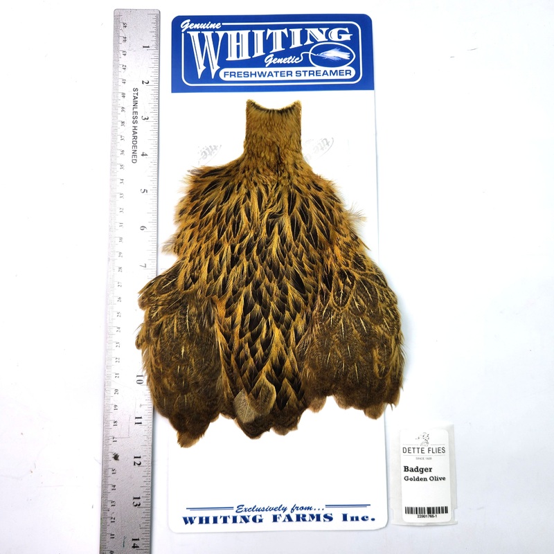 Badger dyed Golden Olive – Whiting Freshwater Streamer Hen Cape (#1)