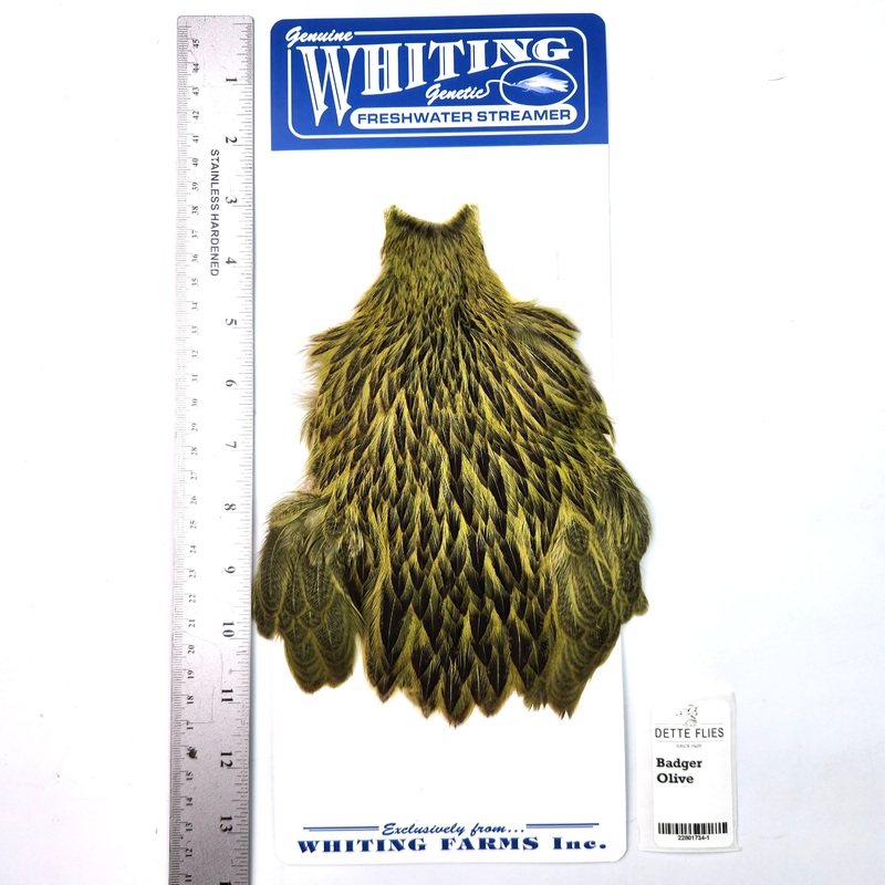 Badger dyed Olive – Whiting Freshwater Streamer Hen Cape (#1)