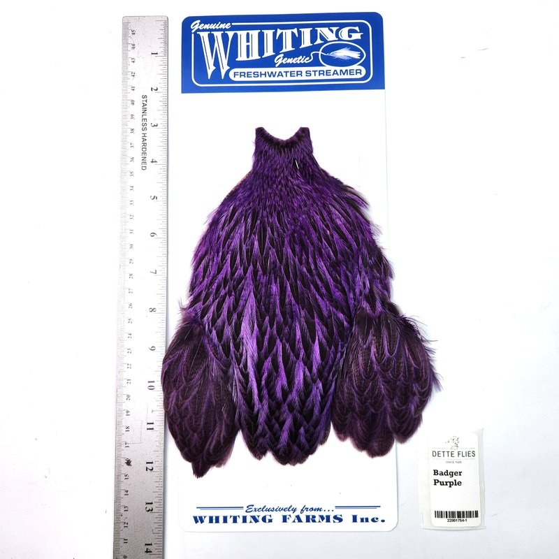 Badger dyed Purple – Whiting Freshwater Streamer Hen Cape (#1)