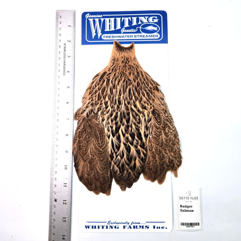 Badger dyed Salmon – Whiting Freshwater Streamer Hen Cape (#1)